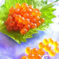 いくら丼をおうちで食べたい！本格いくら醤油漬けの作り方UNAU MAGAZINE ウナウマガジン-理想の暮らしと住まいを探そう