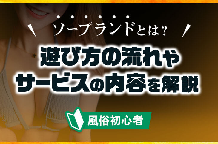 風俗王が解説】ソープってどこまでできるの？本番や生挿入はあり？ | Trip-Partner[トリップパートナー]