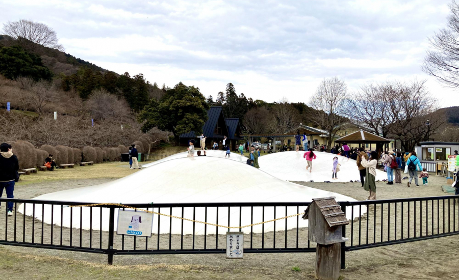 自然を満喫！ 1日丸っと楽しめる『神奈川県立あいかわ公園』地元をもっと知る！地域の情報ポータルサイト・JIMOTTO ジモット