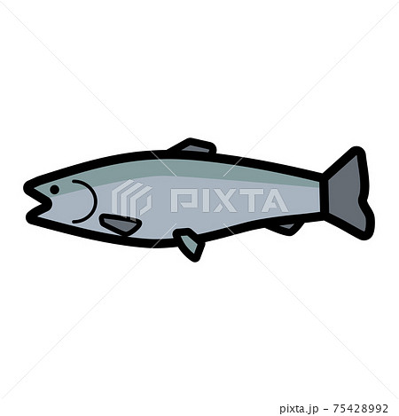 サーモンの握り寿司のイラスト イラスト素材7173482- フォトライブラリ