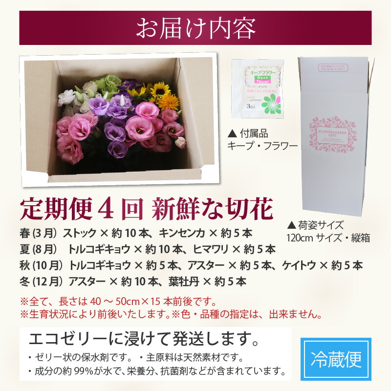 スプレーカーネーション○生花○切り花○農家直送 花束・切花