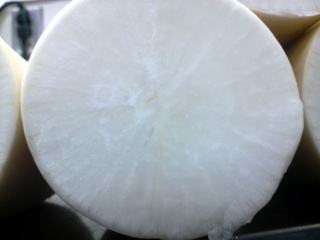 かいわれ大根の育て方・栽培方法 ビン栽培