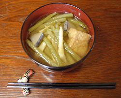 ミズだけに瑞々しい？東北の山菜「ミズ」の魅力に迫る！れいちゃんのぼっち飯