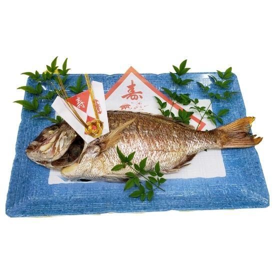 お祝いごとに！鯛の塩焼き 尾頭付き