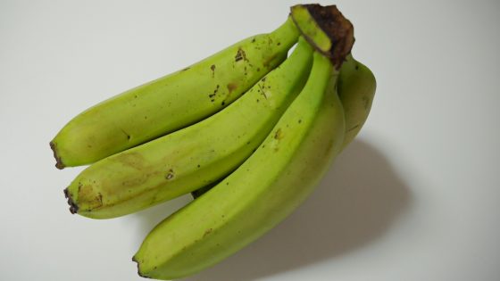 サニーゴールド登場sunlandのブログ