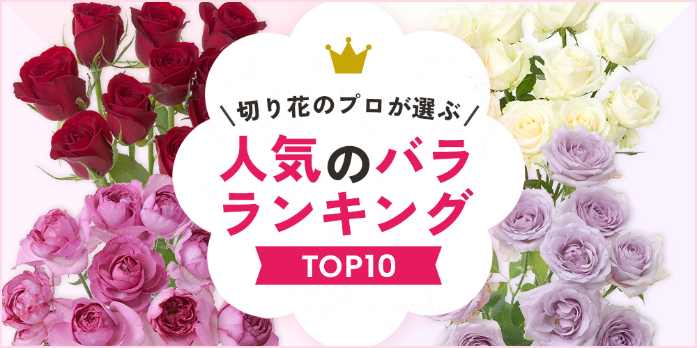 画像で解説 フラワーアレンジメントの日持ちについて日持ちするおすすめ商品もご紹介Sakaseru