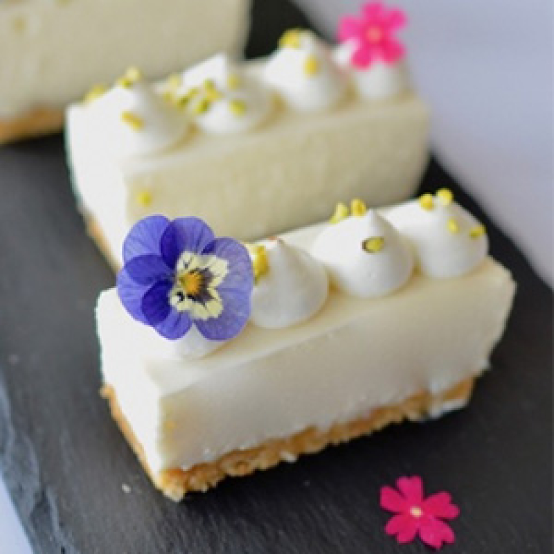 パブロフのアニバーサリーケーキのご案内ニュース横浜元町のパウンドケーキ専門店 - Pavlov パブロフ