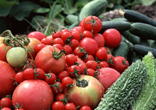 夏が旬の野菜おすすめ14選！ 栄養面・選び方・簡単レシピなど紹介マイナビ農業