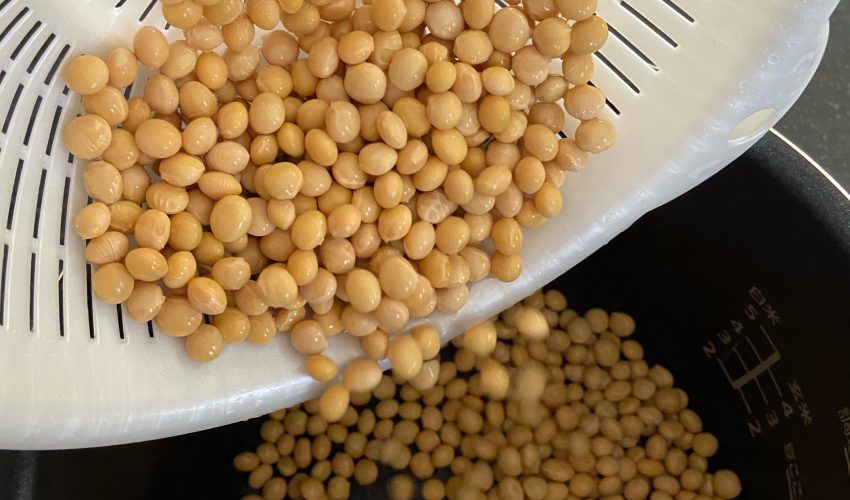 ダイエットに美容に！栄養がギュギュっと詰まった蒸し大豆join us at the kitchen