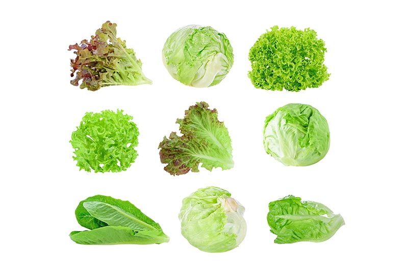 サンチュの代用品はコレ！焼肉との相性が抜群な理由は栄養にもあった知りたい