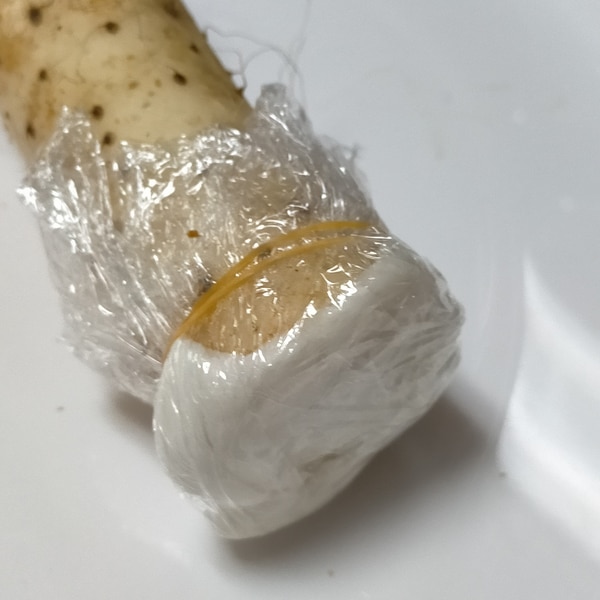 長芋 山芋 の冷凍保存テクニック!手間なく調理に活用できるアレンジ術や解凍のコツを解説frozen by analyst.jp
