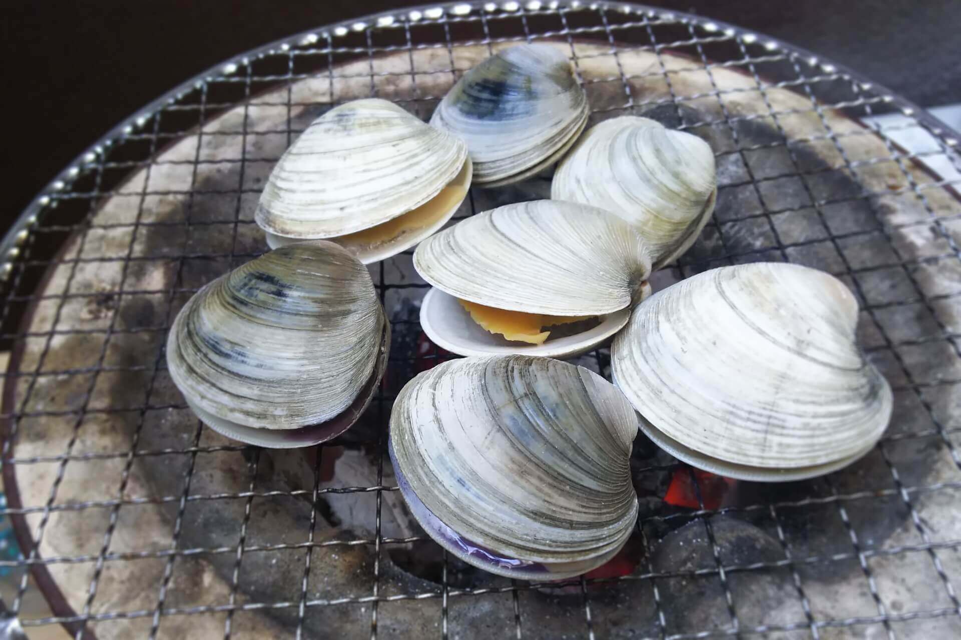 ホンビノス」の人気商品一覧安い商品を通販サイトから探す - 価格.com ホンビノス