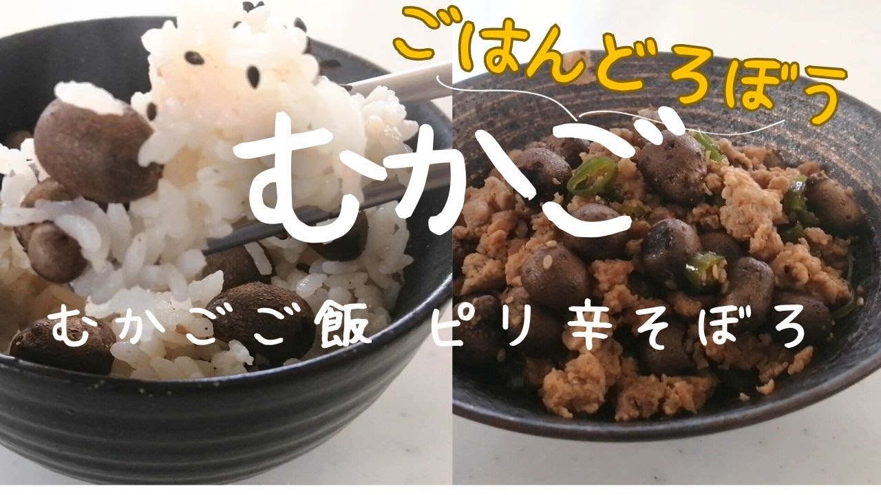 ころころかわいい♪ むかごごはん