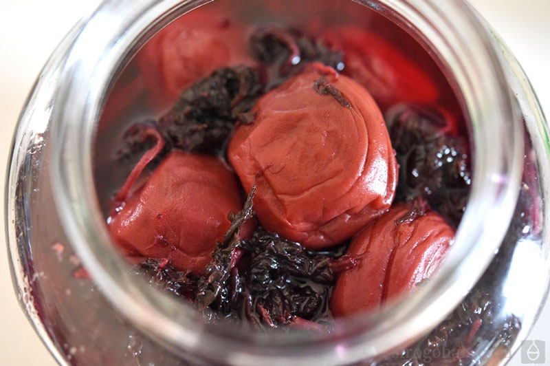 焼酎の梅干し割りは魅力がいっぱい!アレンジレシピや焼酎に合う熊平の梅おすすめ5選を紹介梅干しの通販 和歌山の南高梅専門店熊平の梅