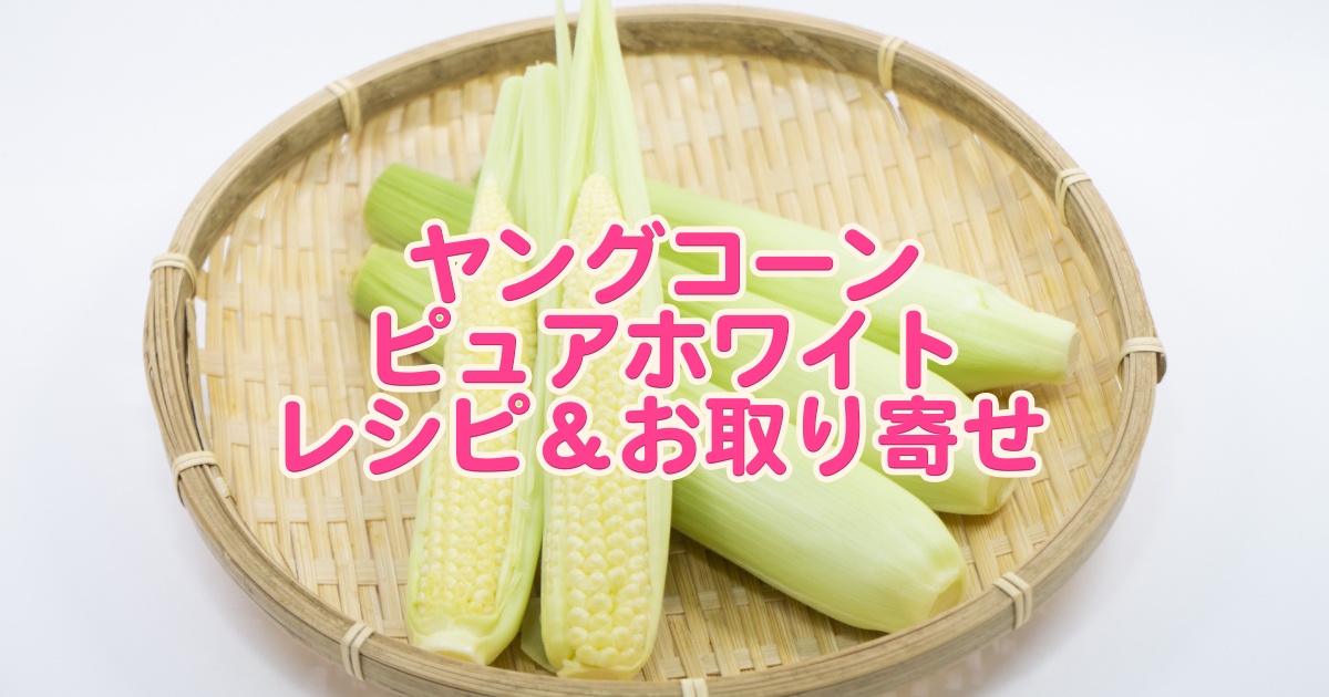 青空レストラン ヤングコーン ピュアホワイト の通販お取り寄せ＆レシピまとめ。 - miraku 〜美楽食