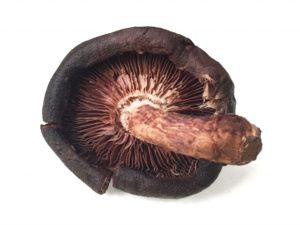 みのるの不ぞろい生しいたけ 菌床栽培70g コープこうべネット