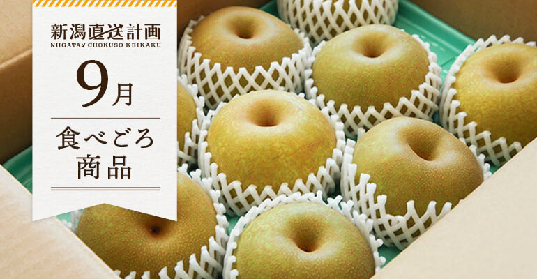 2025年9月 スポーツ・アウトドアふるさと納税 季節の恵み3回定期便C 果物 フルーツ 青果 青果物 デザート スイーツ 果実 旬 季節旬の果物 季節の果物 生鮮食品 生鮮 贈答 贈り物 ギフト プレゼント おすそ分け ご褒美 人気 グルメ お取り寄せ 特産品 特産 国産 香川