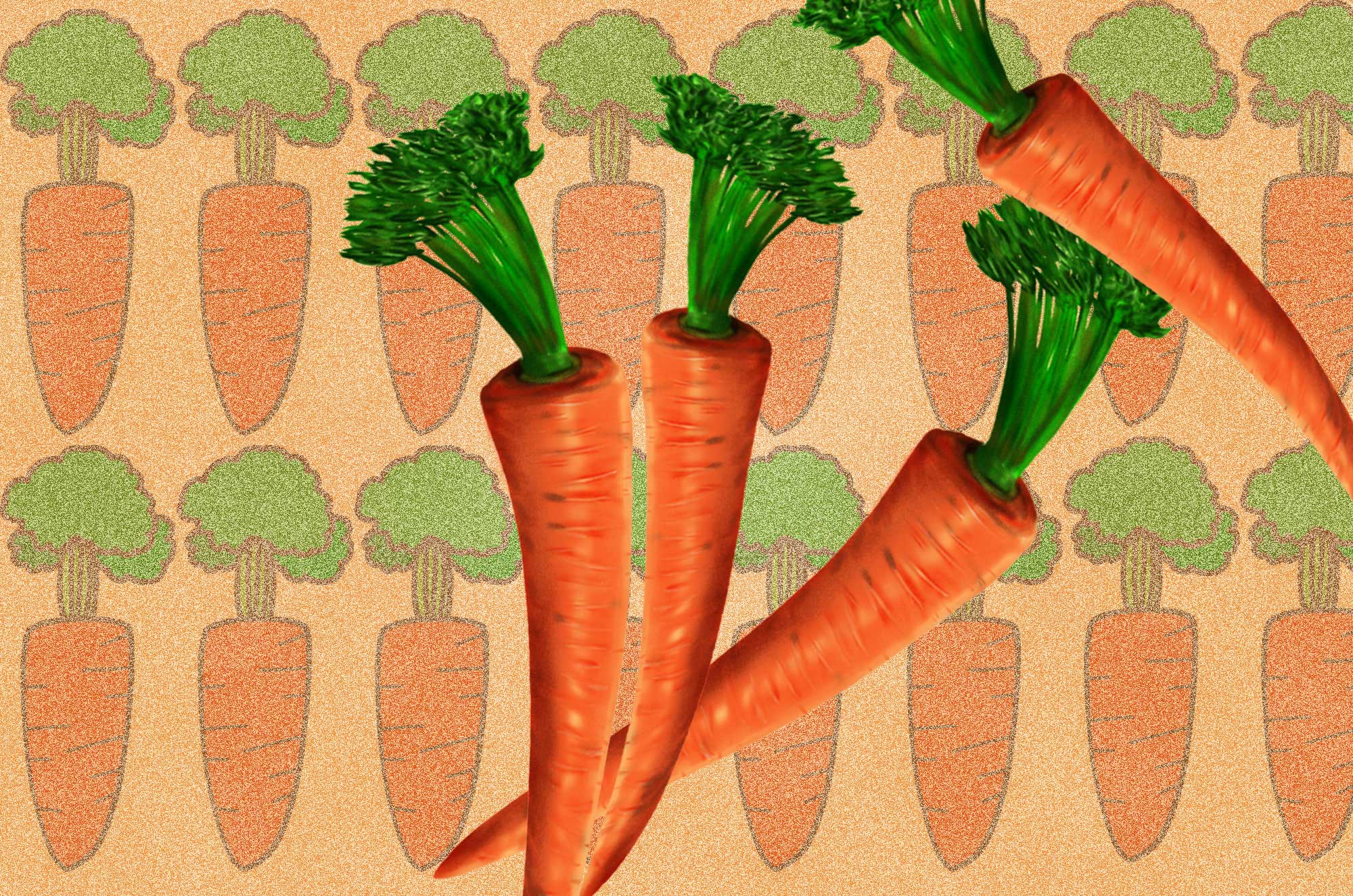 にんじん 10137008439 の写真・イラスト素材アマナイメージズ