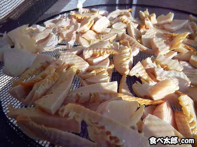 美味しいたけのこの見分け方 「ずんぐり」と「細長い」どっちが良い？ - ウェザーニュース