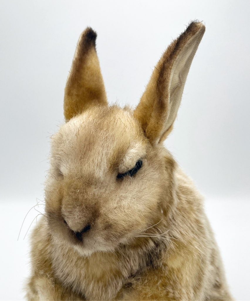 ビスカッチャさん☆」キラリ☆本日のおすすめ☆京都雑貨屋パラルシルセ 手作りブログ