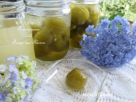 もったいない食堂です 『完熟梅甘露煮』 青梅が主流ですが、 個人的に完熟梅が好みです☺️ 本当は皮が破れない様に仕上げないといけないのですが、、、皮が薄い南高梅を使用した為に殆ど破れています。 梅は無農薬の梅を使用しています。 甘酸っぱく仕上がりました。 お