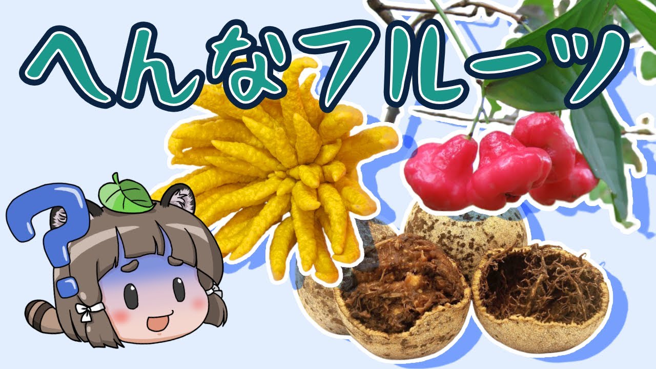 楽天市場 名前 名入れ かわいい 果物 クリップ バッジ敬老の日 2025 おしゃれ ネームプレート オリジナル おなまえ くだもの フルーツ子供 保育士 薬剤師 薬局 病院 名札 名前入れ 保育園 幼稚園 入園 入学 卒業 プレゼント ギフト: 写真名前ギフト よろずやデザイン