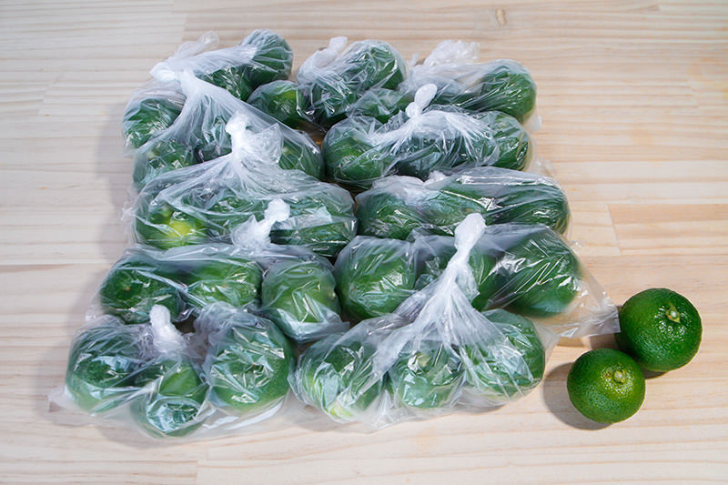 簡単なのに絶品すぎ！「すだち」活用レシピ 保存法・搾り方