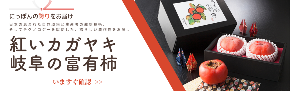 先行予約 あんぽ柿「越の甘柿」12個 木箱入り 美味しさにこだわった自信作！あわら産 高級 干し柿 つるし柿 和菓子 お茶うけ お菓子 スイーツお取り寄せ 大賞 受賞2025年11月中旬より順次発送aw012-a024福井県あわら市ふるさと納税サイト「ふるなび」