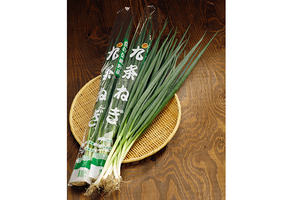 まるごと食べて美味しく免疫アップ「葱」RiCE.press