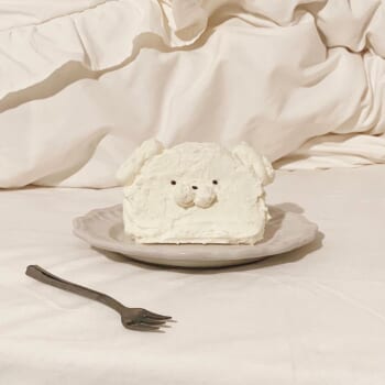 韓国で話題 カフェスイーツ4選センイルケーキ 誕生日ケーキ の作り方