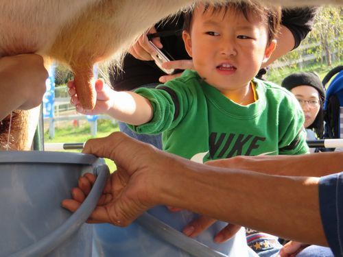 ゆめデリバリーyoume delivery - ゆめタウン公式ネットスーパー協同乳業 県北搾り牛乳: 卵・乳製品・パン