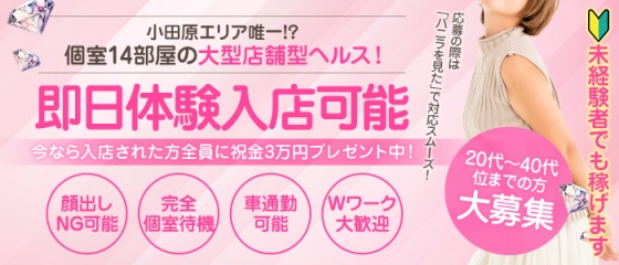 花街の伝統を受け継ぐセクシーキャット宮小路店 - 店長ブログ｜セクシーキャット宮小路店