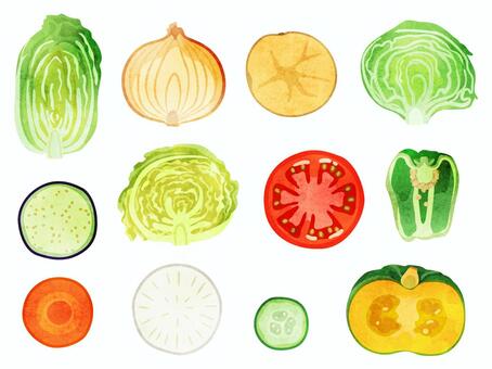 334,600点を超える野菜 断面のストックフォト、写真、そしてロイヤリティフリーの画像 - iStockカラフル 光沢