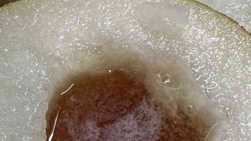 しゃっこい、けっぱる、あずましい 知名度低めな北海道弁一覧 標準語変換- 北海道Likers