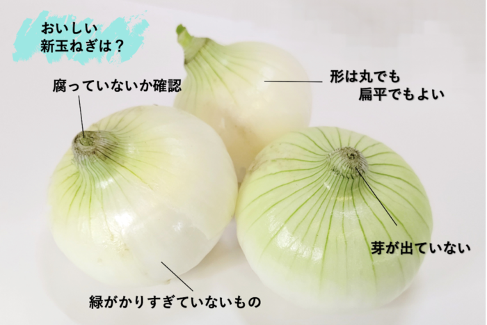 芽が出たタマネギを植えた実験結果報告 : 素人百姓日記 有機無農薬野菜作りの記録