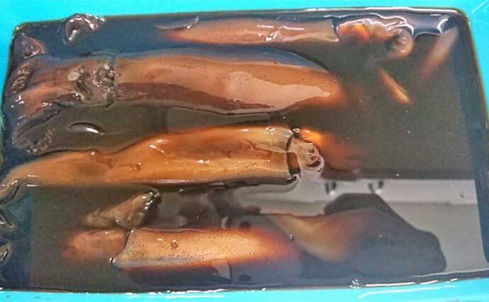 お洒落にアレンジ♪ワインと沖漬けを楽しむレシピ✨