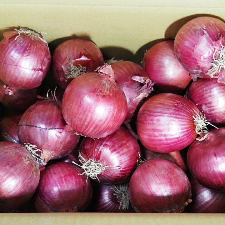 約5kg サイズ混合・ご家庭用紫玉ねぎ 香川県産 色鮮やかで栄養たっぷり♪を税込・送料込でお試しサンプル百貨店サンタの贈り物