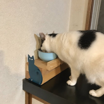 猫のご飯を少し高い位置に変えると吐く頻度が下がる」 “手作りの猫飯台で嘔吐が激減”に「参考になる」「やってみたい」の声ねとらぼ