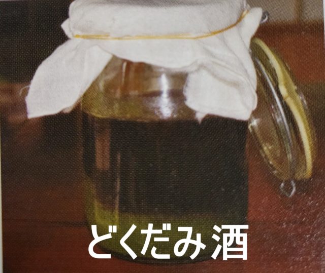 山梨百貨店山梨ワイン ドクダミ シャトー勝沼 健康酒 ドクダミの力 ドクターワイン 720ml