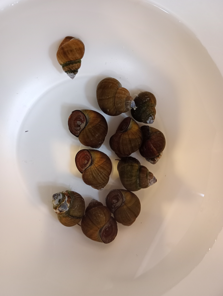 東京都立工芸高校 定時制on X: