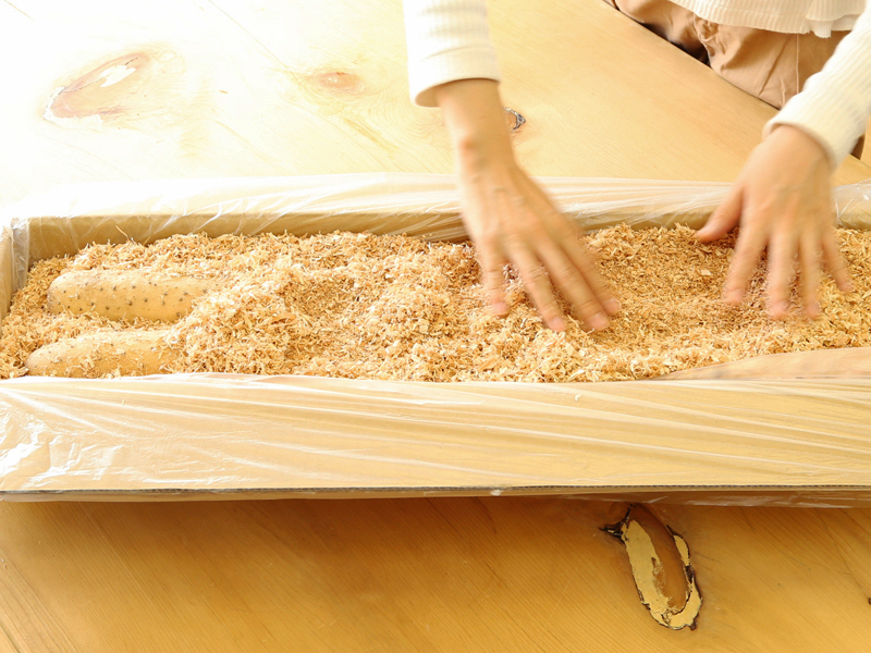 長芋をとろろ用に冷凍保存するならそのままとすりおろしてからのどっちが正解?実際に検証してみた!生活知恵袋