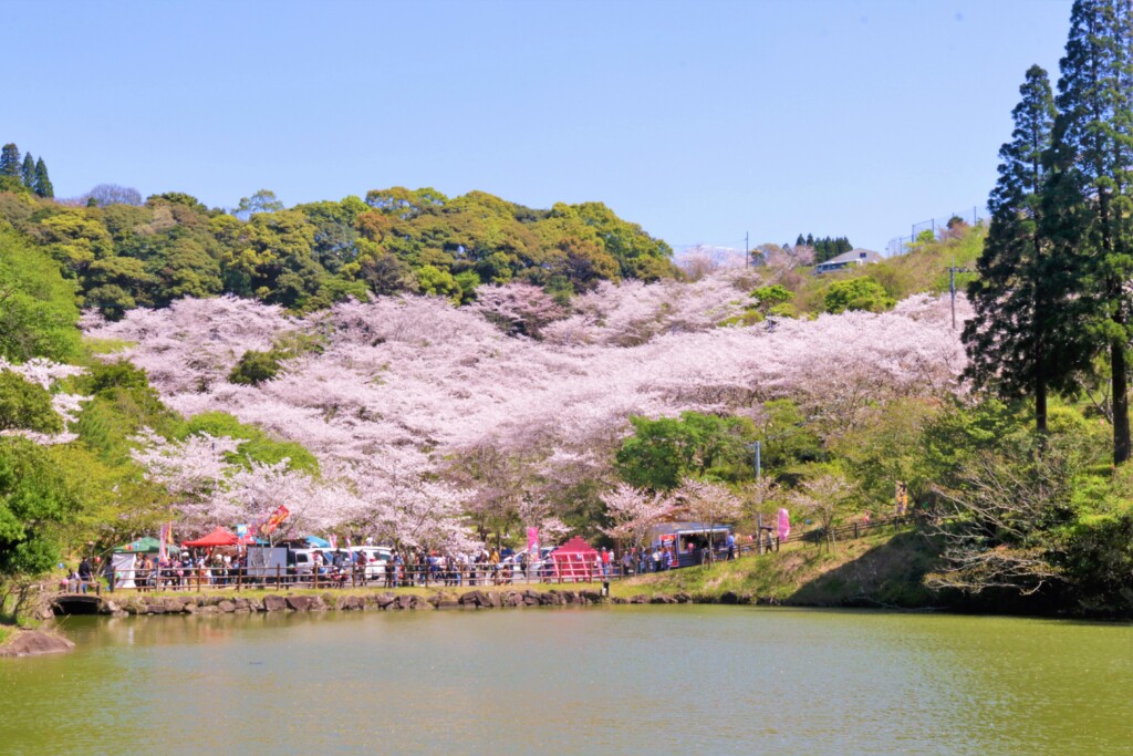 いちき特産品販売所 季楽館いちき串木野市総合観光サイトみなと色、ロマン旅。 いちき串木野市