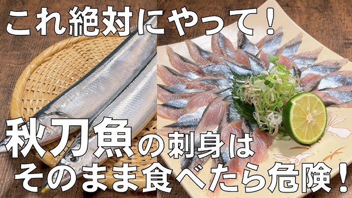 エゾメバルの味 北海道各地での釣果