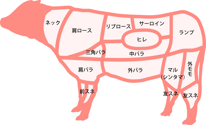 焼肉部位ガイド部位別の特徴とおすすめの焼き方＆食べる順番 完全保存版焼肉銀うし 銀座店