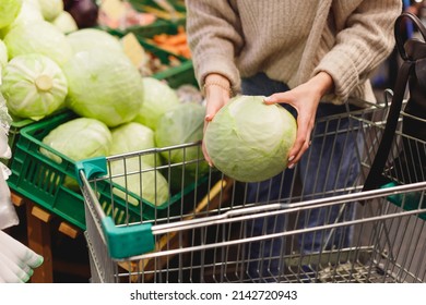 食育の日 「春キャベツと冬キャベツ」園だより社会福祉法人MONDEN会