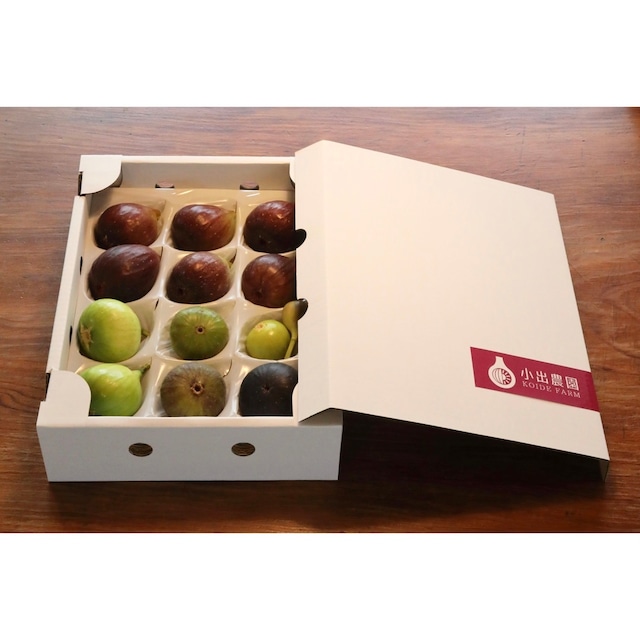 イベントレポート プロ農家から学ぶ野菜栽培講習会クロノスファーム手ぶらで来れる週末農園