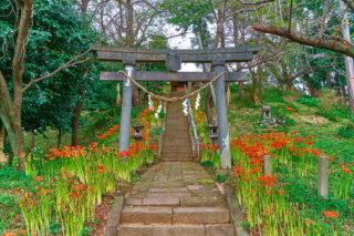 不二家 フレッセイ安堀店」 伊勢崎市-洋菓子-〒372-0007 の地図 アクセス 地点情報 - NAVITIME