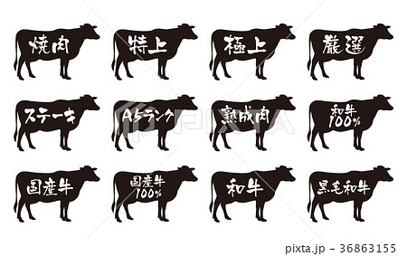 黒毛和牛の子牛 01801017769 の写真・イラスト素材アマナイメージズ