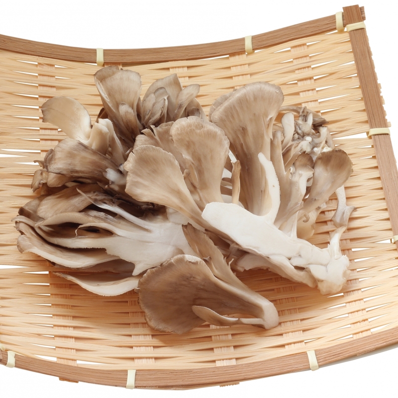 舞茸の保存 あれをするだけで長持ちします！ 島本美由紀の保存から食品ロス削減