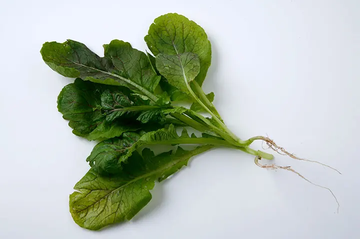 冬の葉物野菜がおいしい!紫小松菜、紫水菜などアントシアニン豊富な紫色の野菜がおすすめです~!BS:バイヤーセレクション